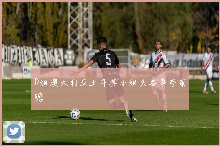 D组澳大利亚土耳其小组头名争夺前瞻