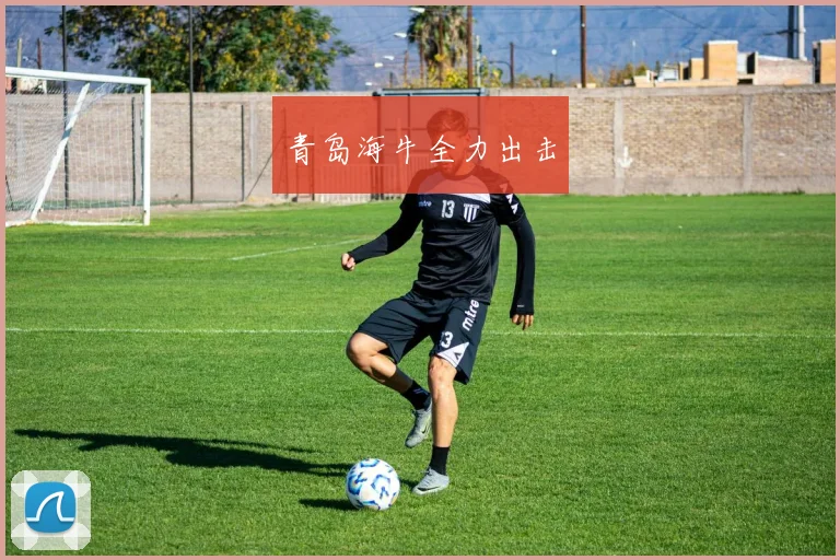 青岛海牛全力出击