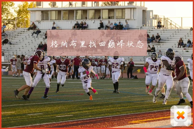 格纳布里找回巅峰状态