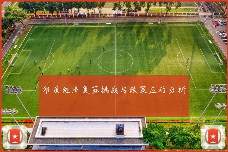 印度经济复苏挑战与政策应对分析