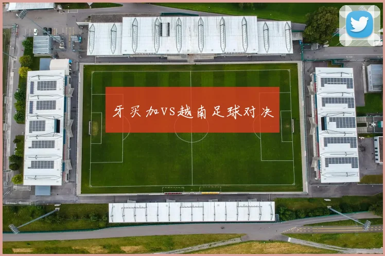 牙买加vs越南足球对决