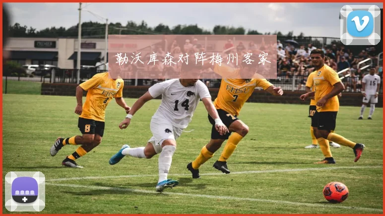 勒沃库森对阵梅州客家