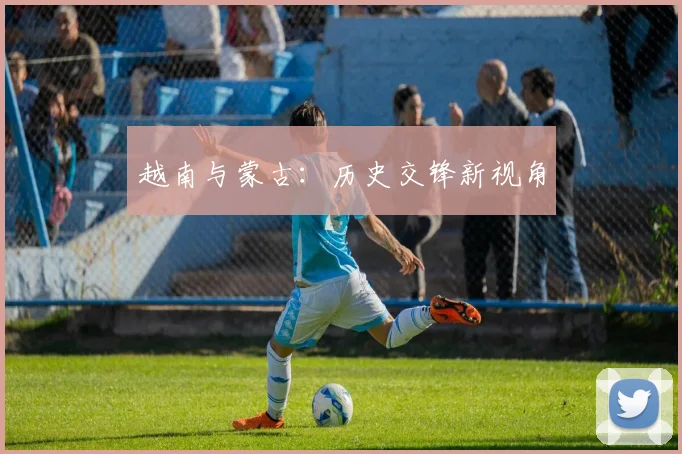 越南与蒙古：历史交锋新视角