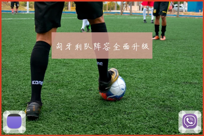 匈牙利队阵容全面升级