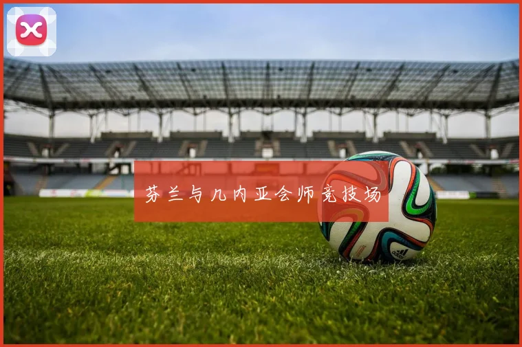 芬兰与几内亚会师竞技场