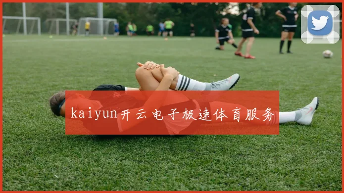 kaiyun开云电子极速体育服务
