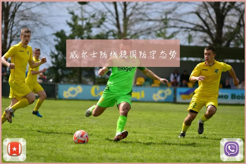 威尔士防线稳固防守态势