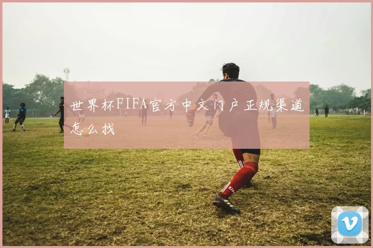 世界杯FIFA官方中文门户正规渠道怎么找