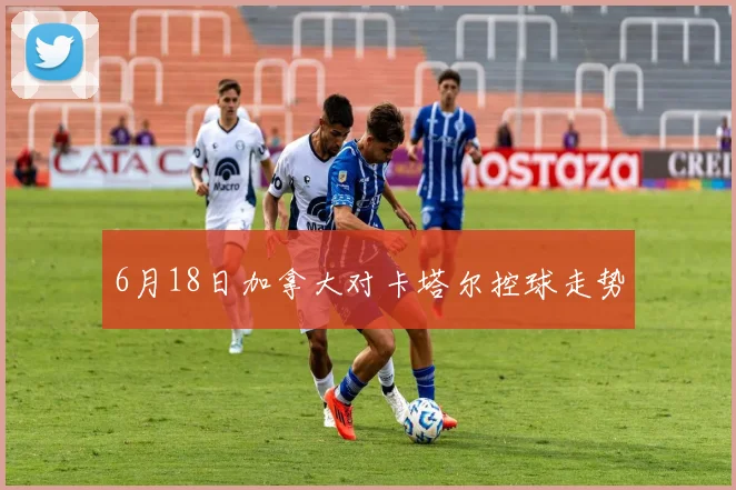 6月18日加拿大对卡塔尔控球走势