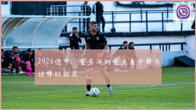 2026德甲：霍芬海姆重点看中锋与边锋的距离