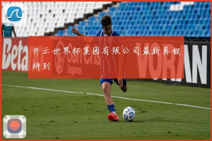 开云世界杯集团有限公司最新真假辨别